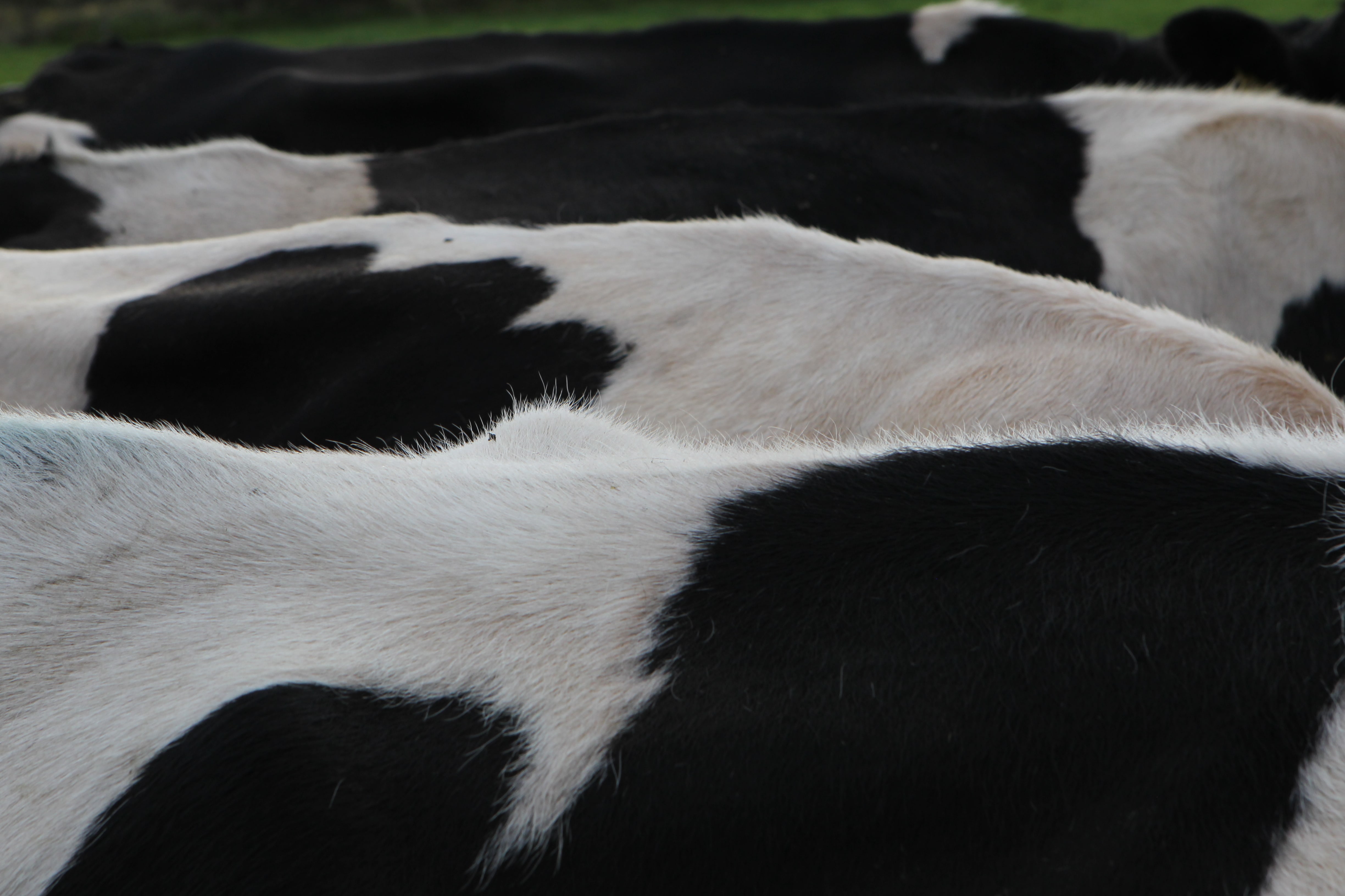 kieran-o-sullivan-qma-09-min